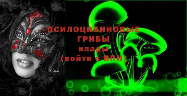 МДПВ Лиски