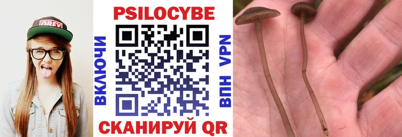 hydra ССЫЛКА продажа наркотиков Северодвинск Галлюциногенные грибы Cubensis